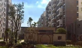 开封李先生最新爆料电话,揭秘电话背后的惊人真相