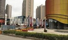 剧雪最新动态爆料,揭秘娱乐圈幕后真相